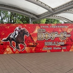 1人で競馬もいいけど仲間ってもっといいですよ😊競馬仲間募集！