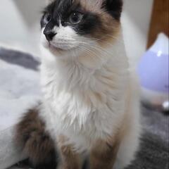 里親さん募集中 男の子 1歳半