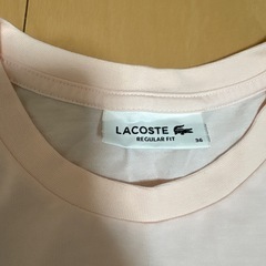 ラコステTシャツの画像