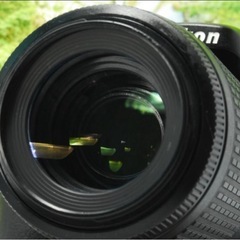 ✨入門一眼レフ✨Nikon D5200✨スマホ転送OK✨反転液晶✨高画質✨の画像