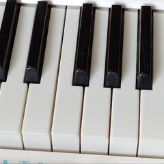 LK-128 | 光ナビゲーションキーボード  CASIOの画像