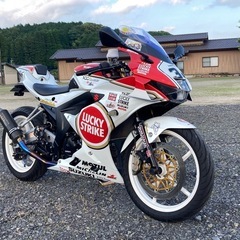 【売約済み】GSX-R125 カスタム ラッキーストライク 実働の画像