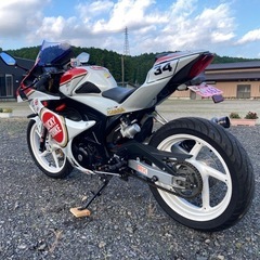 【売約済み】GSX-R125 カスタム ラッキーストライク 実働の画像