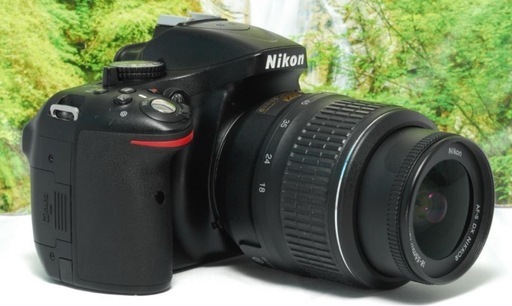 ✨ハイアマチュア機にも劣らない性能✨Nikon D5200✨初心者向け✨高画質✨