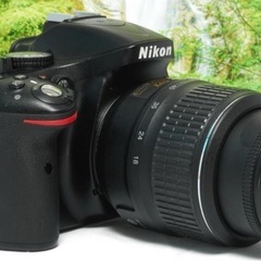 ✨ハイアマチュア機にも劣らない性能✨Nikon D5200✨初心者向け✨高画質✨の画像