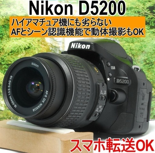 ✨ハイアマチュア機にも劣らない性能✨Nikon D5200✨初心者向け✨高画質✨