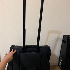 AIRBUGGY小型犬用ペットキャリー(リュック)の画像