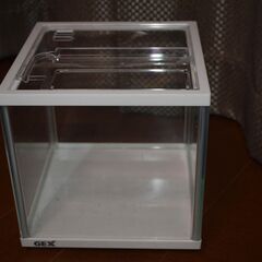 値下げしました。GEX 　水槽　ホワイトフレーム　透明キューブ　20ｃｍ　濾過ボーイ付きの画像