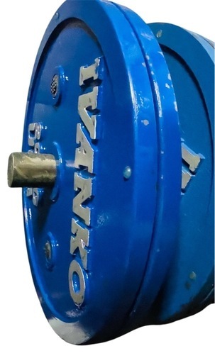 Ivanko イバンコ　 パワーリフティングプレート　20kg 2枚