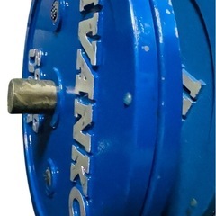 Ivanko イバンコ　 パワーリフティングプレート　20kg 2枚の画像