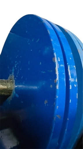 Ivanko イバンコ　 パワーリフティングプレート　20kg 2枚