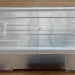 レッドローチ