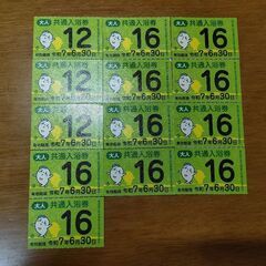 東京共通入浴券　13枚