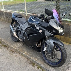 Ninja250R 軽整備済　15185㎞　茨城県取手市より　E...