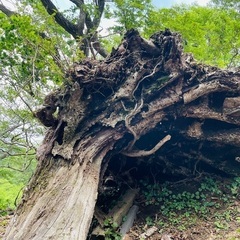 6/15(日)登山⛰️＠三重亀山