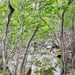 6/15(日)登山⛰️＠三重亀山 - その他