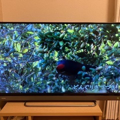 テレビ　40型　東芝　2017年