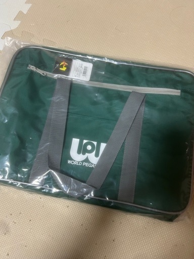 ワールドペガサス、スクールバック