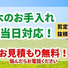 庭木の剪定や伐採、抜根も対応できます！