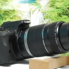 ✨ショット数約4300回✨Canon Kiss X7✨手振れ補正機能付きWレンズの画像