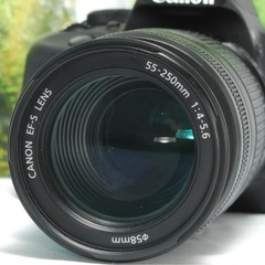 ✨ショット数約4300回✨Canon Kiss X7✨手振れ補正機能付きWレンズの画像
