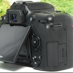 ✨グランプリ受賞のハイスペック一眼レフ✨Nikon D7500✨4K動画対応✨の画像