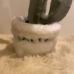 サボテン　フェイクの画像