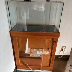 割と大きめの水槽と台です。
