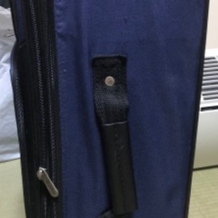 無料【コロコロBag】の画像