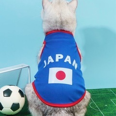 ペット　服