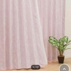 ローズカーテン 226×103 1枚