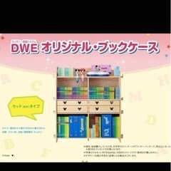 決まりました！ありがとうございます。DWEの棚組み立て手伝ってく...