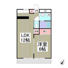 KS🌸敷金ゼロ🌟礼金ゼロ🌟仲介手数料ゼロ🌟南向きで日当たり良好！...