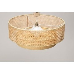 JOURNAL STANDARD FURNITURE　天井照明