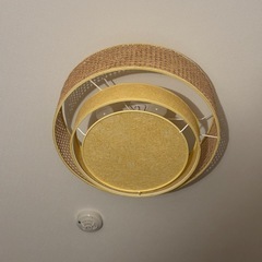 JOURNAL STANDARD FURNITURE　天井照明の画像