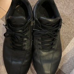 ミズノ ゴアテックス チャック付き 26.5cm