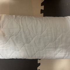 差し上げます/1人用の毛布(？)
