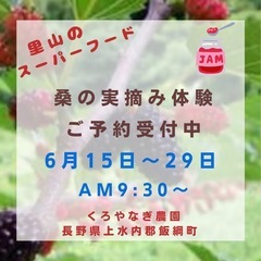 桑の実摘み体験