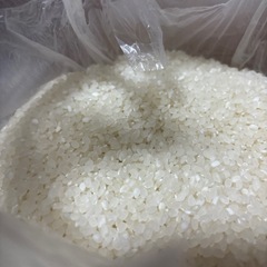 令和6年度産コシヒカリ4キロ無洗米