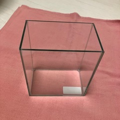 水槽