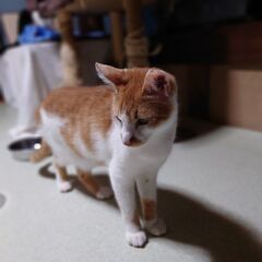 遊ぶのも人馴れもバッチリ！帰って来たモーモー9ヶ月