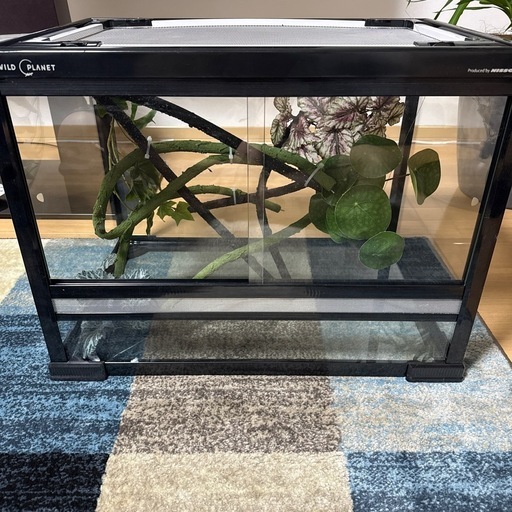 WILD PLANETケージ WP645