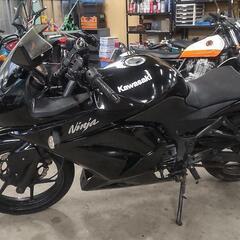 動画あり　機関良好　★Ninja250R EX250K ニンジャ250★の画像