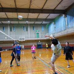 排球❗❗🏐