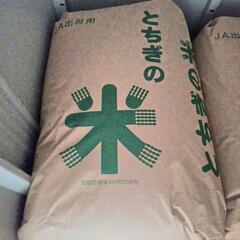 令和6年栃木県産コシヒカリ　玄米30kg