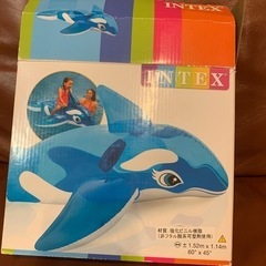 イルカ型のうきわ