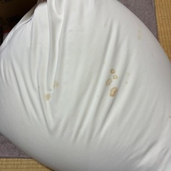 Yogiboの中身のみ