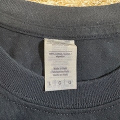 Ｔシャツ　Lの画像