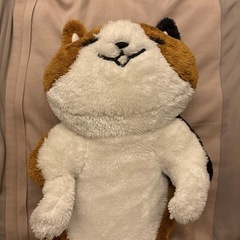 ねこ　ぬいぐるみ