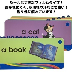 公式　DWE WFC TAC用インデックス シールの画像